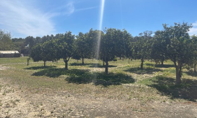 Reventa - Finca -
Rojales - Rojales - Country