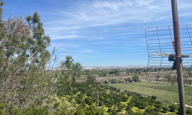 Reventa - Finca -
Rojales - Rojales - Country