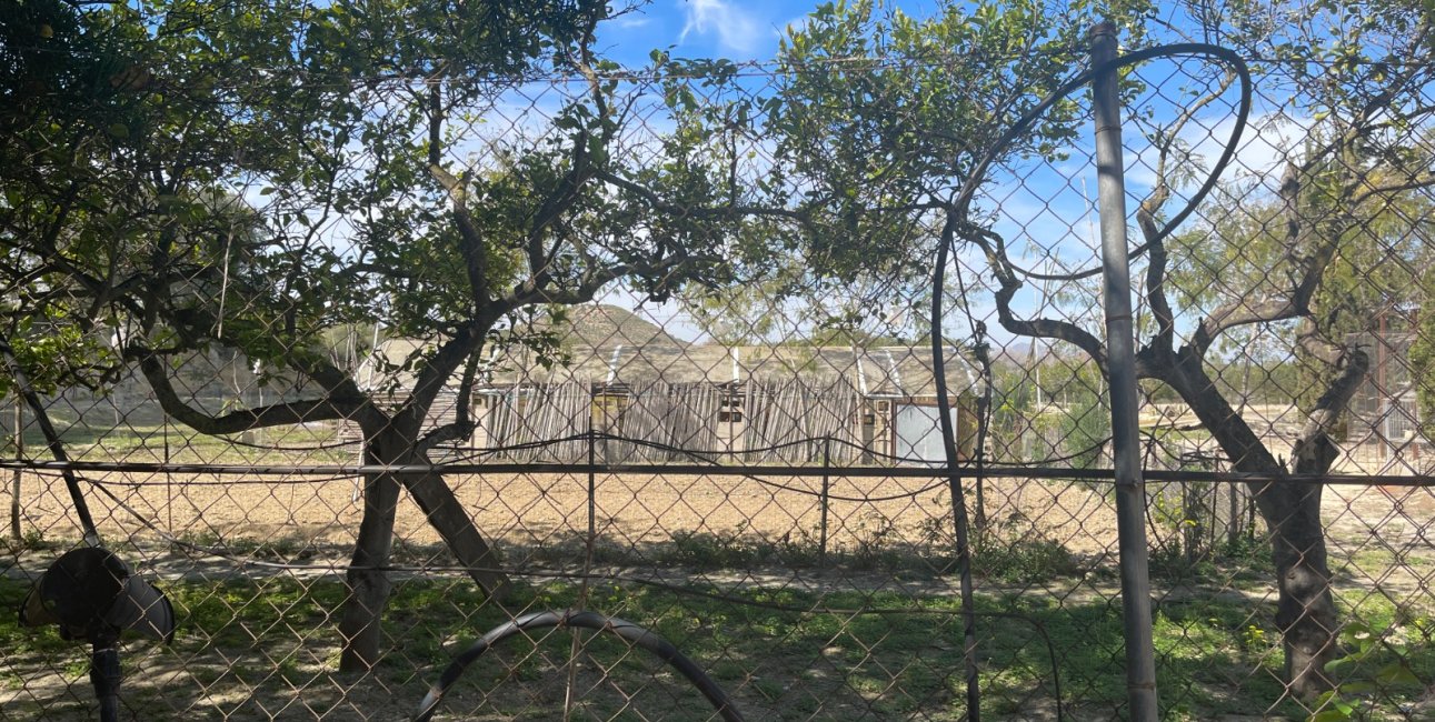 Reventa - Finca -
Rojales - Rojales - Country