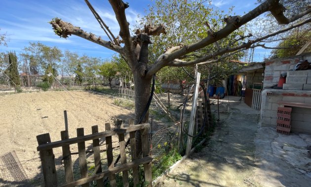 Reventa - Finca -
Rojales - Rojales - Country