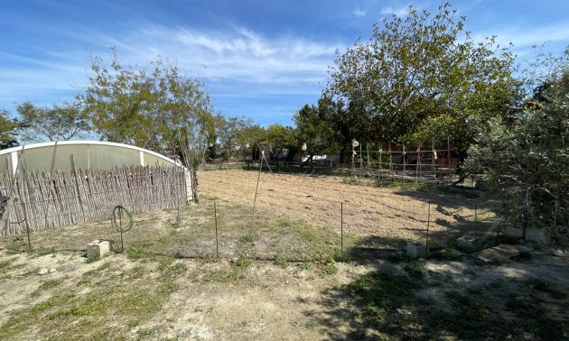 Reventa - Finca -
Rojales - Rojales - Country