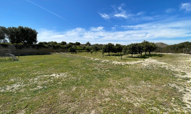 Reventa - Finca -
Rojales - Rojales - Country
