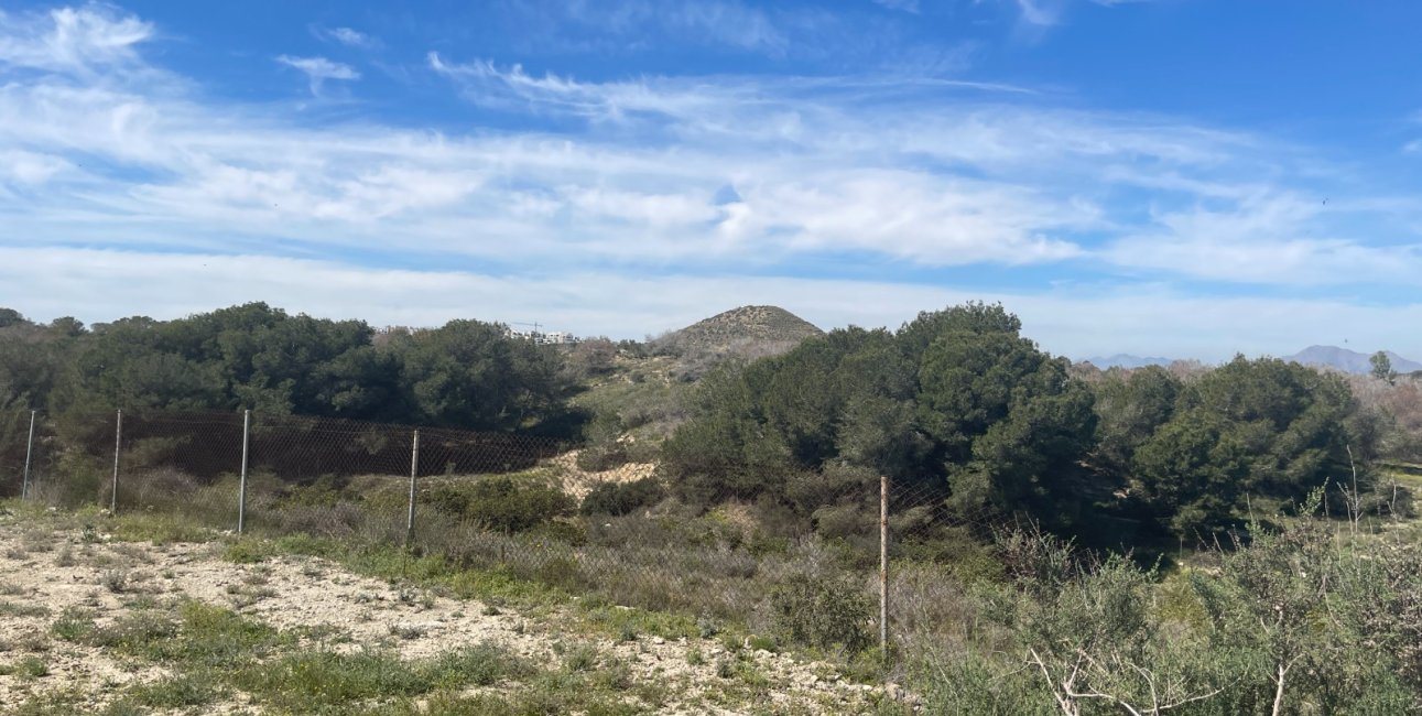 Reventa - Finca -
Rojales - Rojales - Country