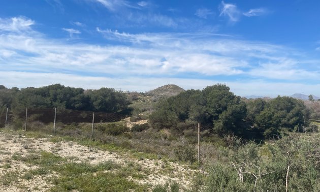 Reventa - Finca -
Rojales - Rojales - Country
