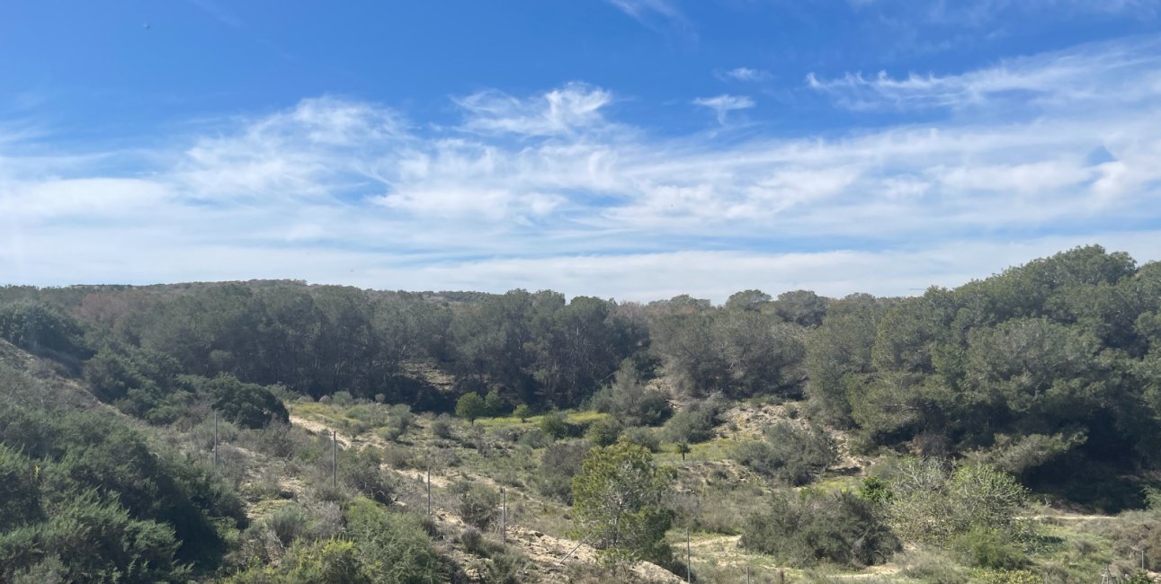 Reventa - Finca -
Rojales - Rojales - Country