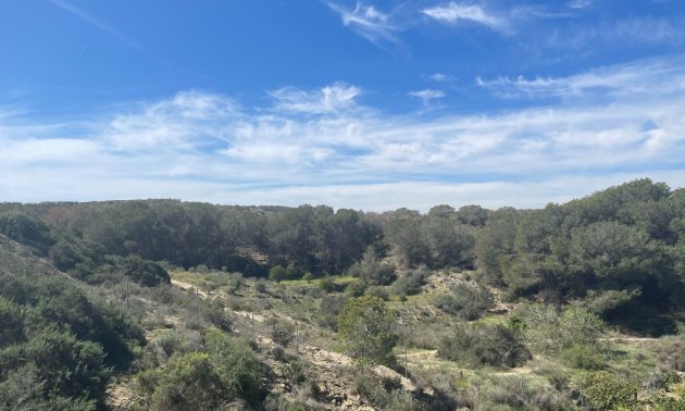 Reventa - Finca -
Rojales - Rojales - Country