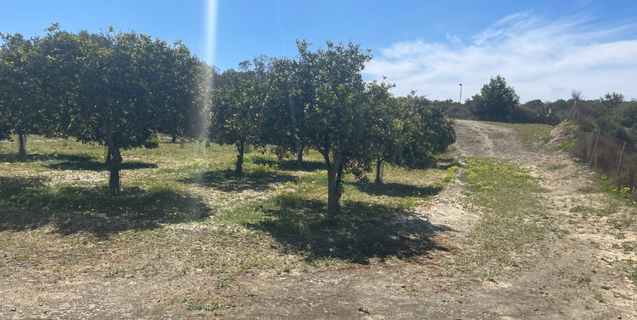 Reventa - Finca -
Rojales - Rojales - Country