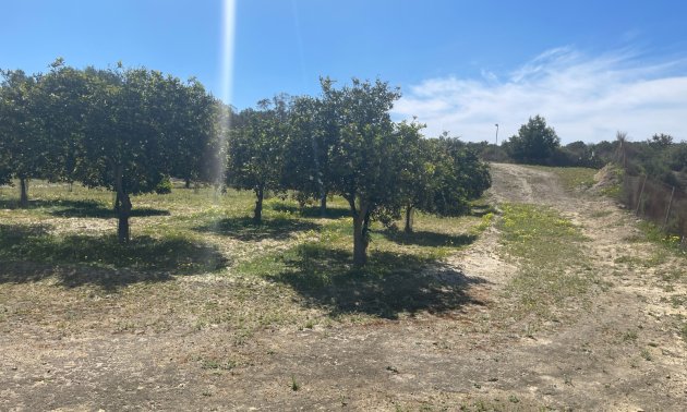 Reventa - Finca -
Rojales - Rojales - Country