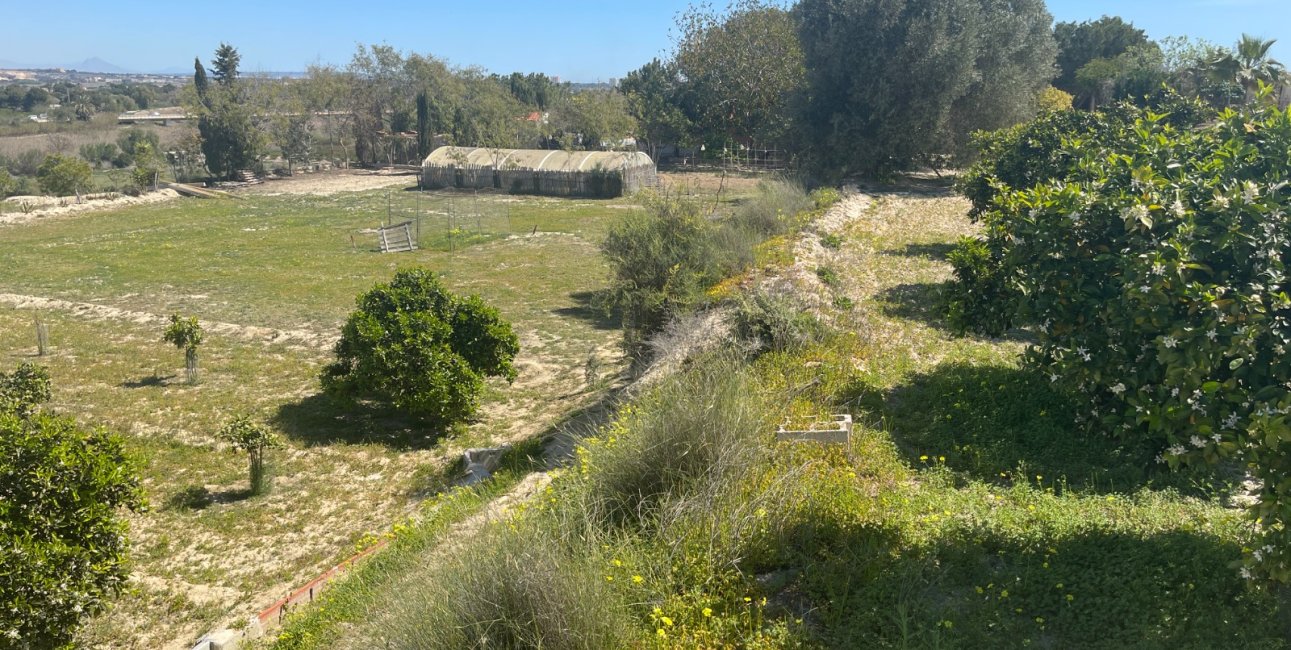 Reventa - Finca -
Rojales - Rojales - Country