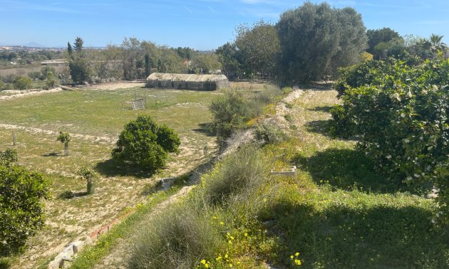Reventa - Finca -
Rojales - Rojales - Country