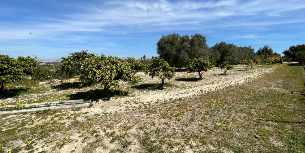 Reventa - Finca -
Rojales - Rojales - Country