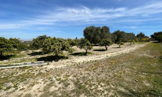 Reventa - Finca -
Rojales - Rojales - Country