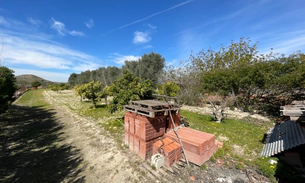 Reventa - Finca -
Rojales - Rojales - Country