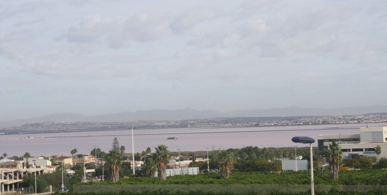 Obra nueva - Adosado -
Torrevieja - Los Altos