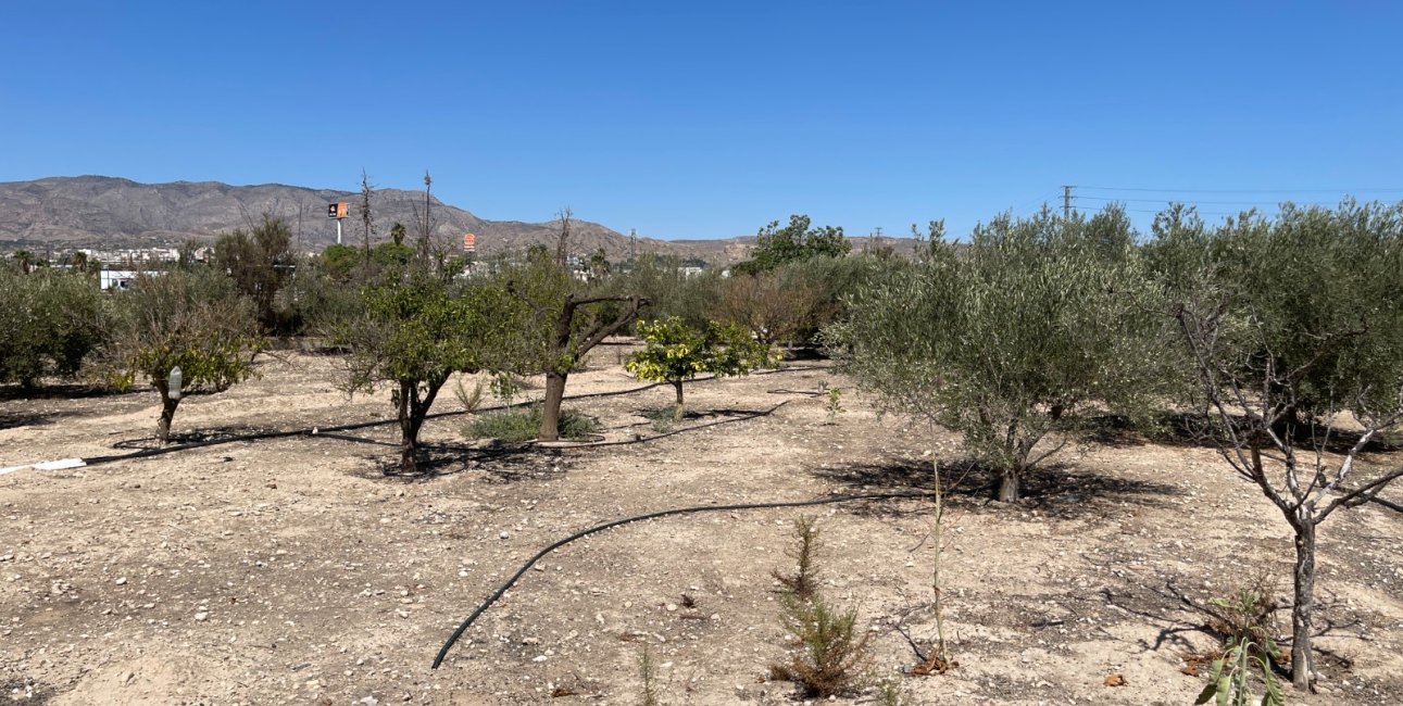 Resale - Country House -
Crevillente - Crevillente - Country