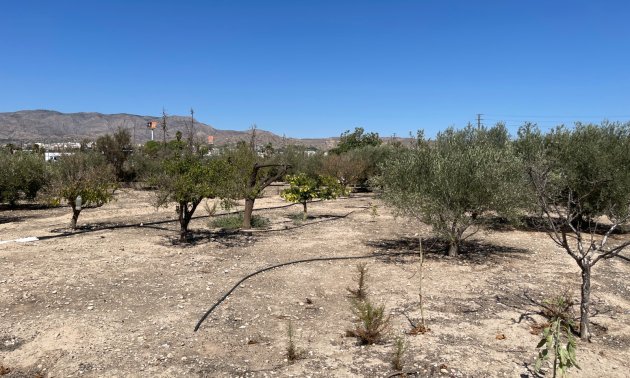 Resale - Country House -
Crevillente - Crevillente - Country