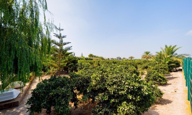 Resale - Country House -
Almoradi - Almoradi - Country
