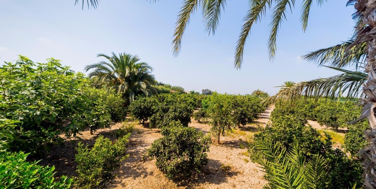 Resale - Country House -
Almoradi - Almoradi - Country