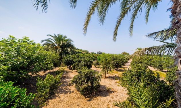 Resale - Country House -
Almoradi - Almoradi - Country