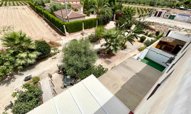 Reventa - Apartamento / piso -
Daya Nueva - Daya Nueva - Town