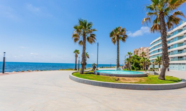Rynek wtórny - Mieszkanie  -
Torrevieja - Estacion de autobuses