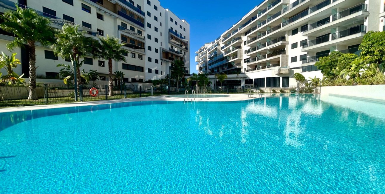 Rynek wtórny - Mieszkanie  -
Dehesa de campoamor - Campoamor