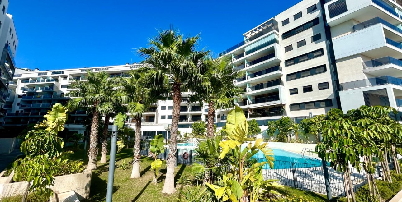Rynek wtórny - Mieszkanie  -
Dehesa de campoamor - Campoamor