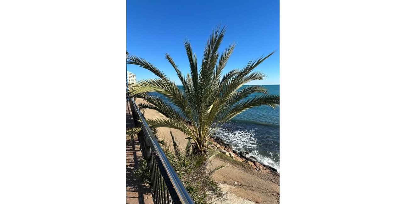 Resale - Apartment / flat -
Orihuela Costa - Las Ramblas