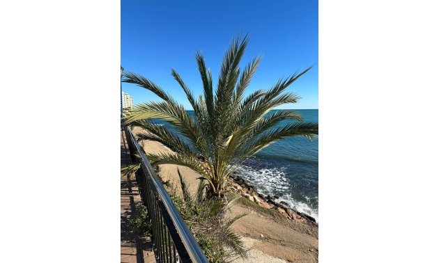 Resale - Apartment / flat -
Orihuela Costa - Las Ramblas