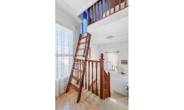 Resale - Villa -
Guardamar del Segura - El Raso