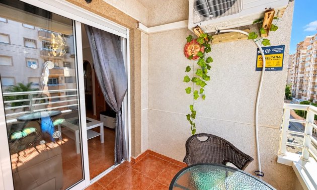Rynek wtórny - Mieszkanie  -
Torrevieja - Nueva Torrevieja