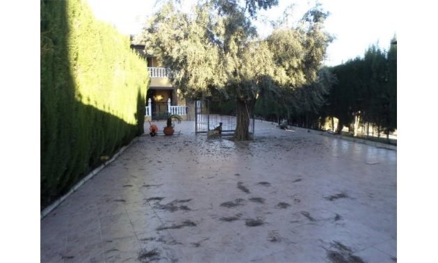 Resale - Villa -
Orihuela - CAMPO