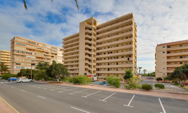 Rynek wtórny - Mieszkanie w bloku -
Torrevieja - Cabo cervera