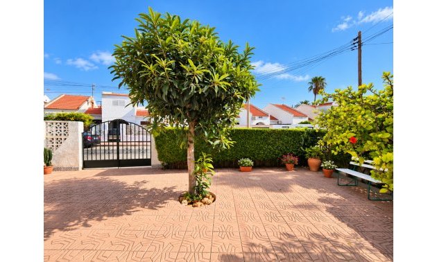 Reventa - Adosado -
Torrevieja - Torrevieja - Centre