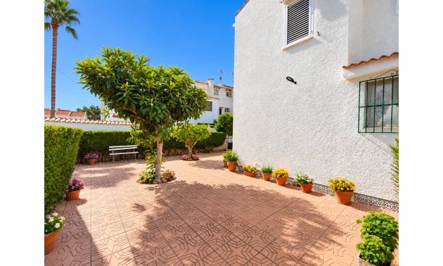 Reventa - Adosado -
Torrevieja - Torrevieja - Centre