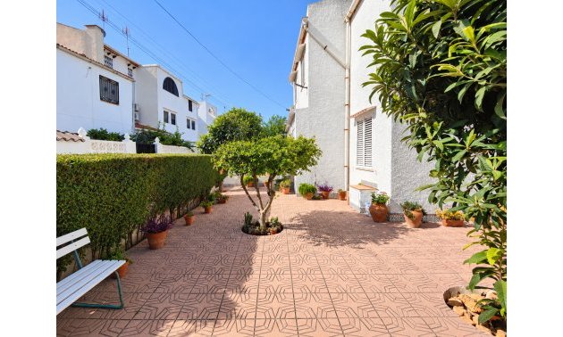 Reventa - Adosado -
Torrevieja - Torrevieja - Centre