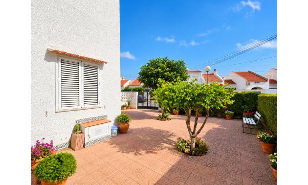 Reventa - Adosado -
Torrevieja - Torrevieja - Centre