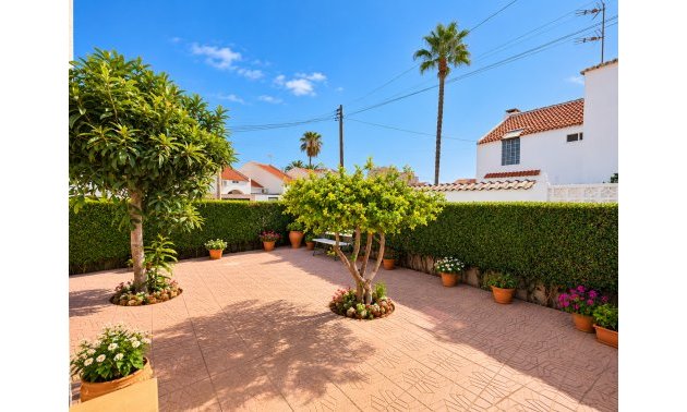 Reventa - Adosado -
Torrevieja - Torrevieja - Centre