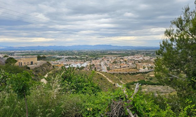 Resale - Bungalow -
Ciudad Quesada - Altos de Quesada