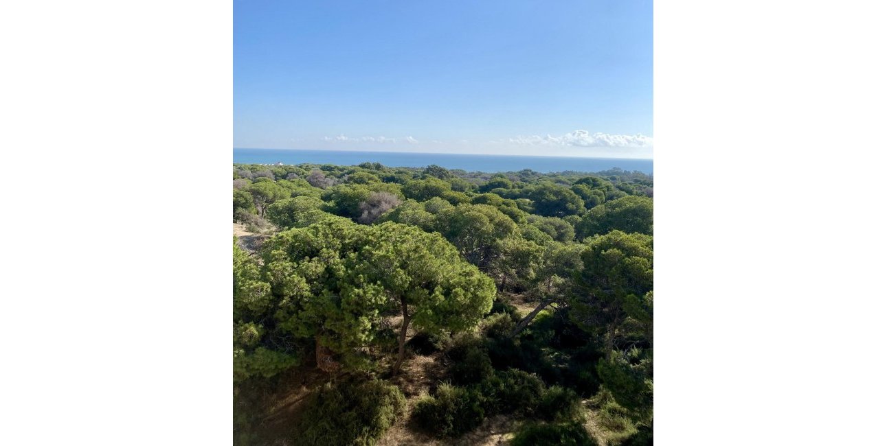 New Build - Penthouse -
Guardamar del Segura - CENTRO