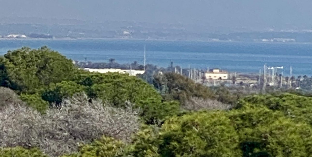 New Build - Penthouse -
Guardamar del Segura - CENTRO