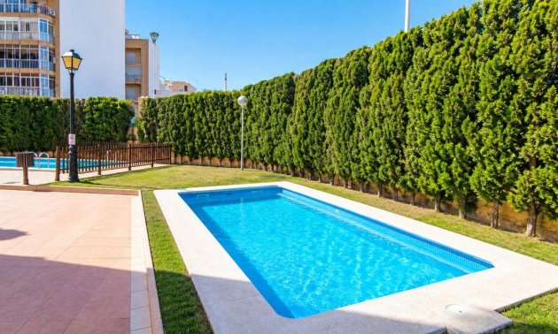Reventa - Apartamento / piso -
Torrevieja - Playa de los Locos