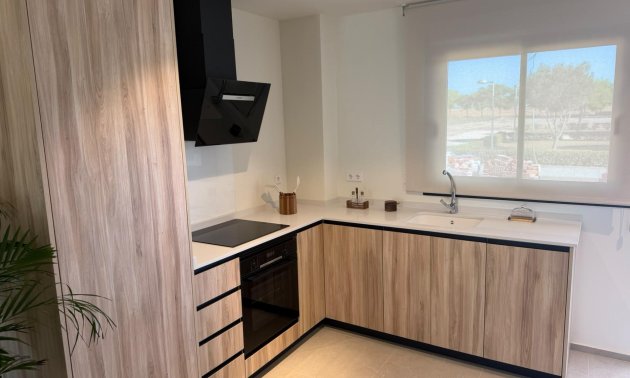 Obra nueva - Villa -
Pilar de la Horadada - pueblo