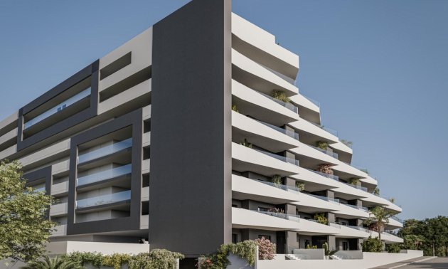 New Build - Apartment / flat -
San Miguel de Salinas - Pueblo