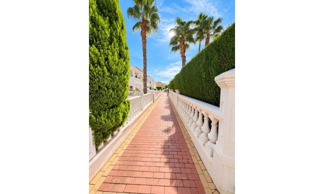 Resale - Semi - Detached Villa -
Alicante - La Florida