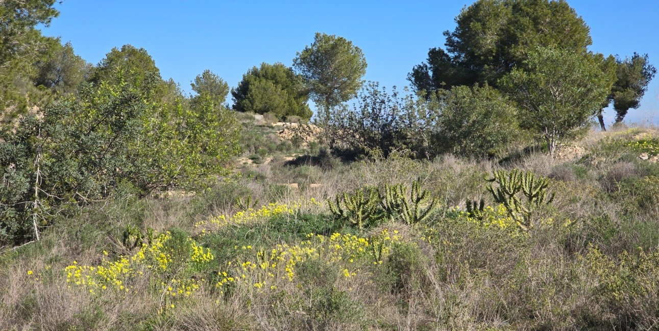 Resale - Apartment / flat -
Orihuela Costa - Villamartin