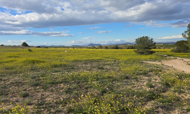 Resale - Apartment / flat -
Orihuela Costa - Villamartin