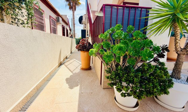 Resale - Townhouse -
Daya Vieja - Daya Vieja - Town