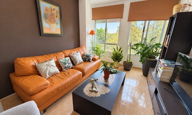 Resale - Apartment / flat -
Pilar de La Horadada - Pilar de La Horadada - Town