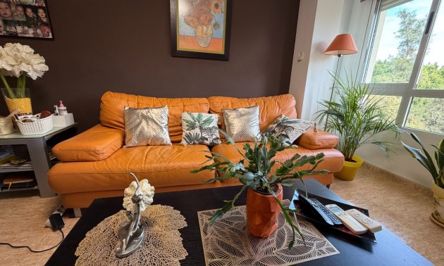 Resale - Apartment / flat -
Pilar de La Horadada - Pilar de La Horadada - Town